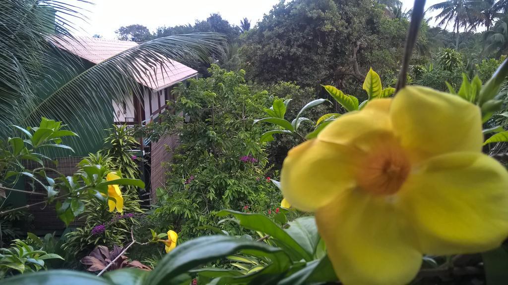 Recanto Solar Da Paz Velha Boipeba Экстерьер фото